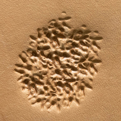 LT779 Textured Leather Stamping Tool–Cluster Textured 10x10mm (2/5" x 2/5")