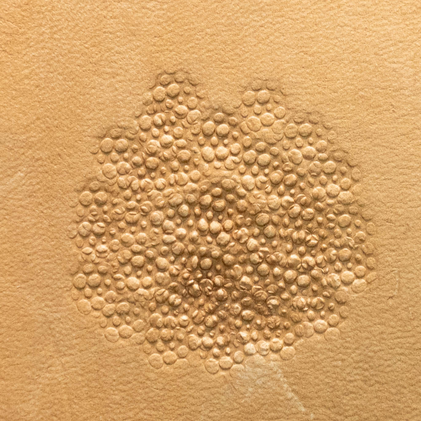 LT770 Pebble Cluster Leather Stamping Tool– Pebble Cluster 10x10mm (2/5" x 2/5")